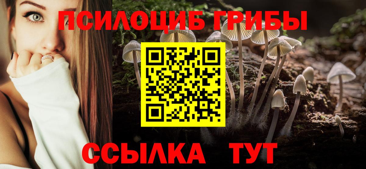 Псилоцибиновые грибы прущие грибы  Вход с VPN  Чусовой 