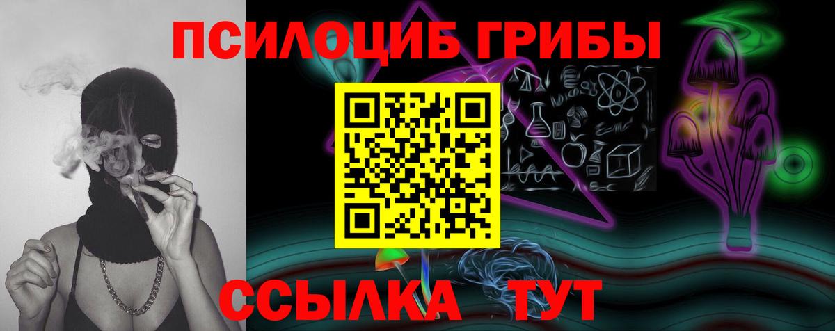 Галлюциногенные грибы Cubensis Чусовой