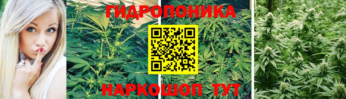 Бошки Шишки VHQ Чусовой